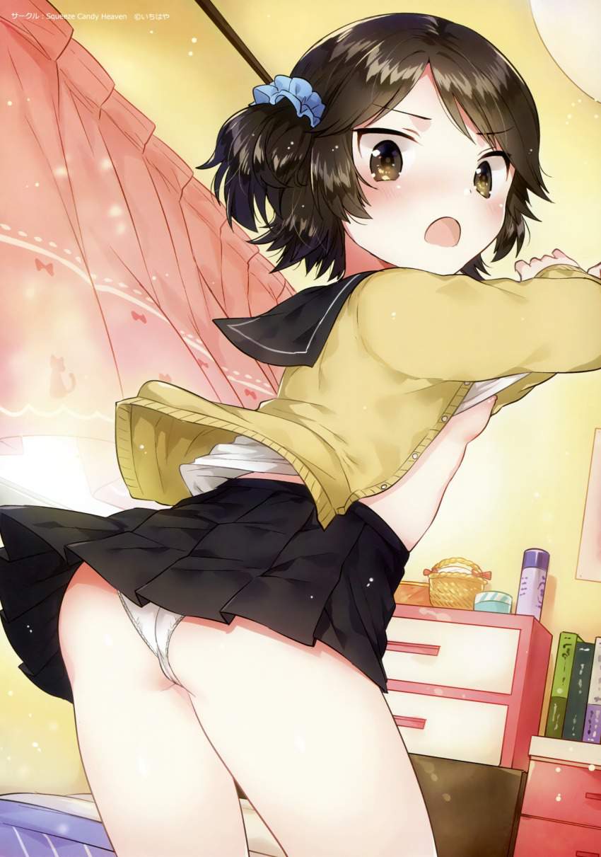 パンチラのエロ画像下さい！