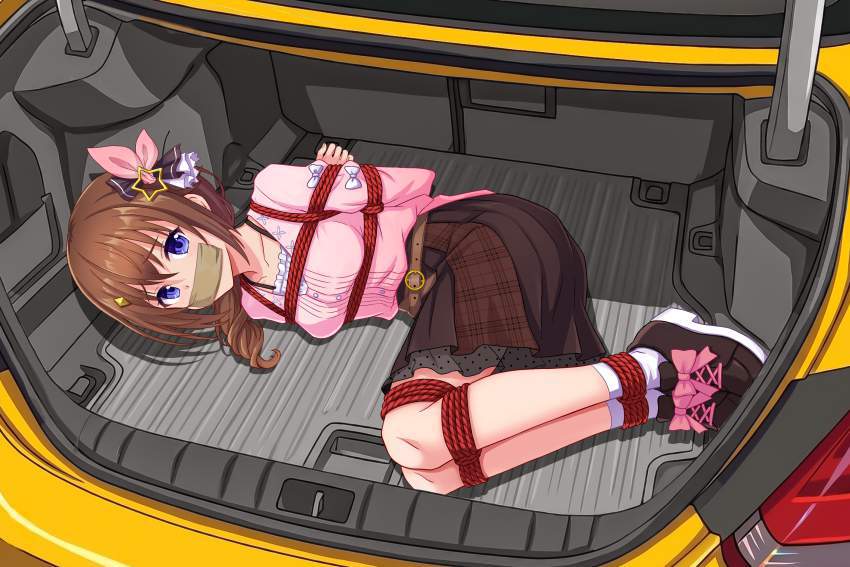 拘束のエロ画像集めてみた
