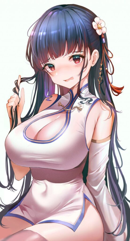 チャイナドレスの二次画像がヌけすぎてこまる件について