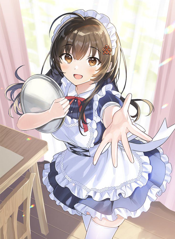 メイドの二次エロ画像まとめ
