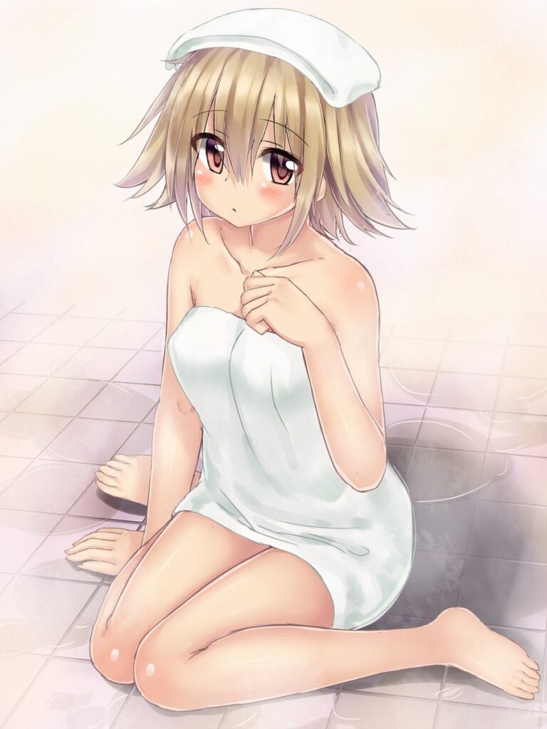 お風呂の選り抜き画像♪