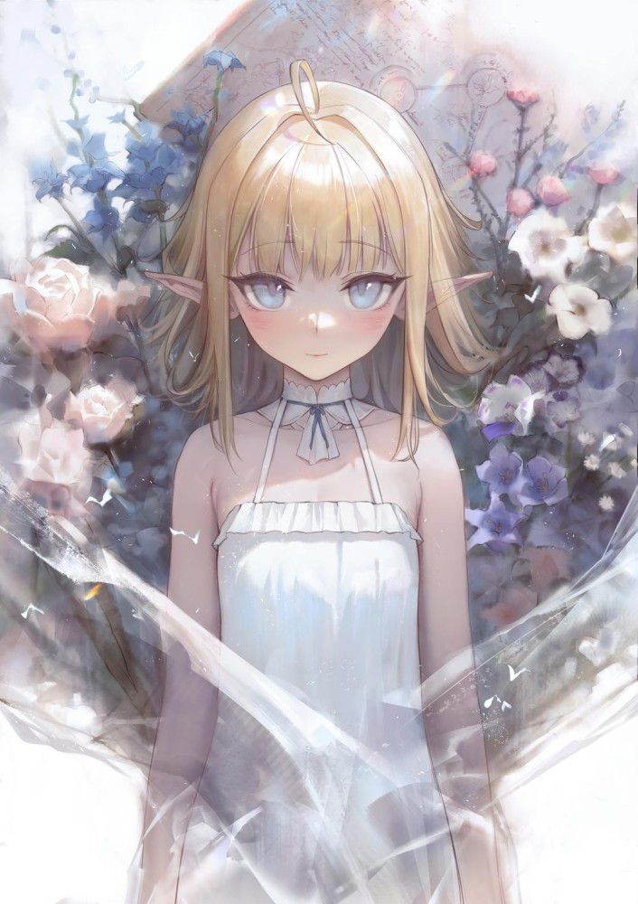 エルフの超絶可愛くてセクシーな画像集!