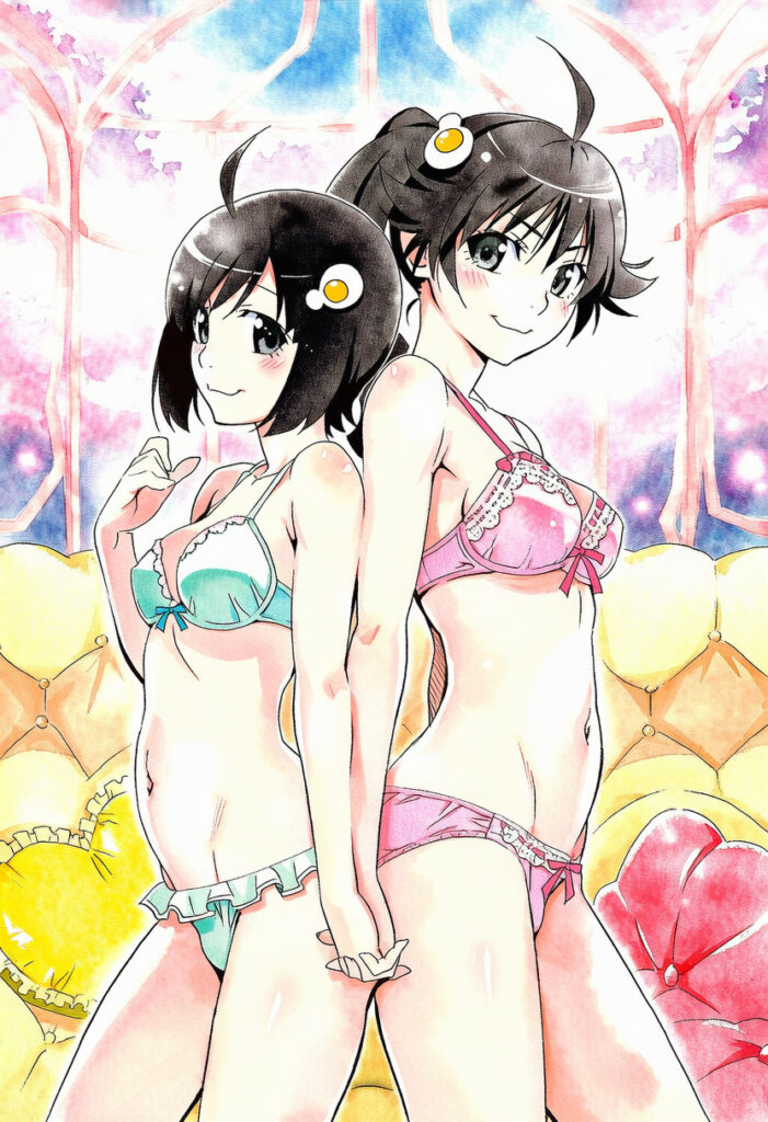 【※勃起不可避】物語シリーズの美少女画像がヤバスギクンwwwwwwwwww【二次画像】