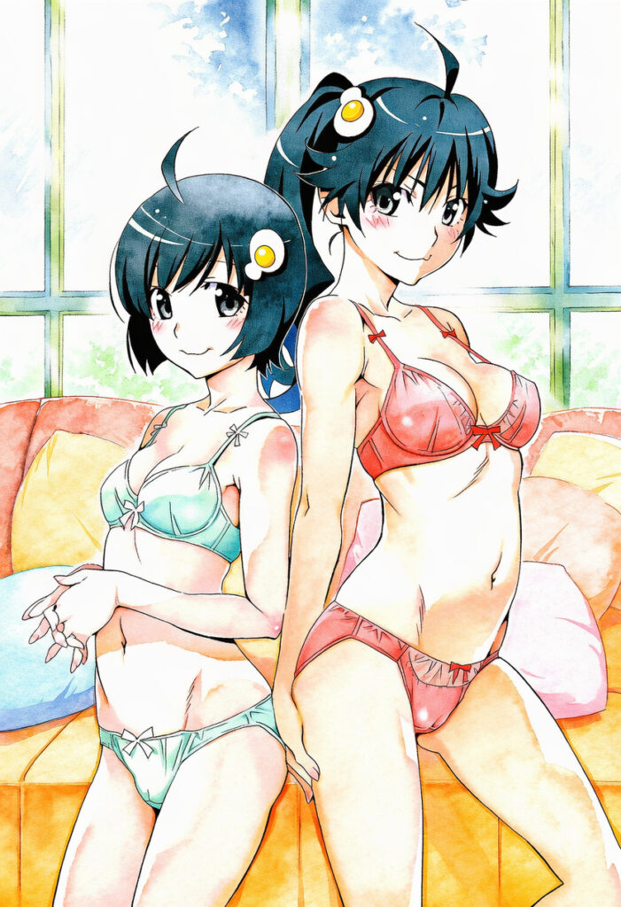 【※勃起不可避】物語シリーズの美少女画像がヤバスギクンwwwwwwwwww【二次画像】