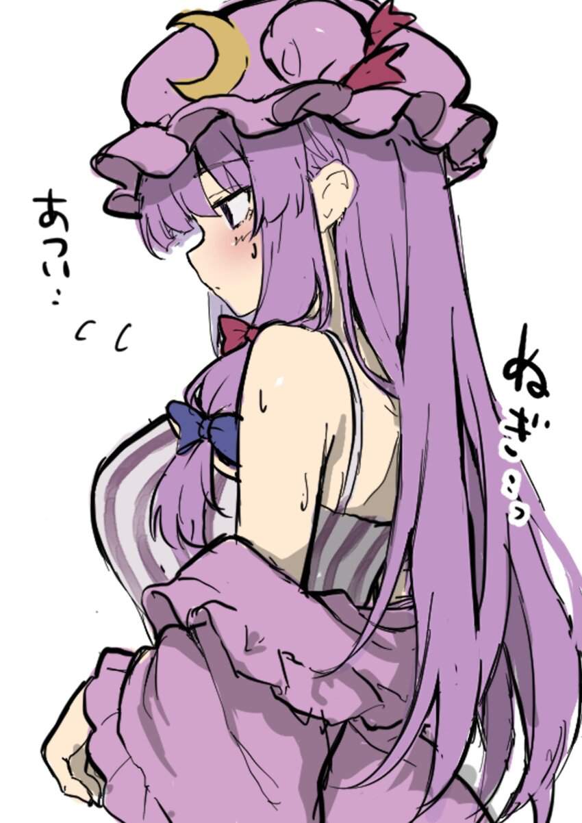 東方Projectの画像でとことんヌキヌキしたい