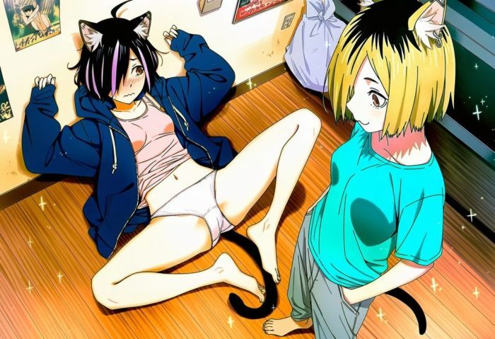 ヤニねこのよさを痛感できるエロ画像ください