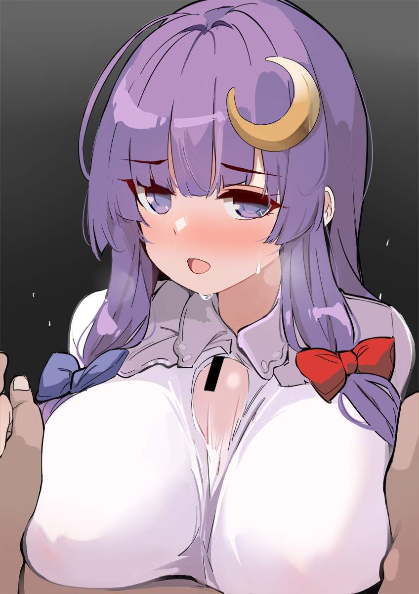 東方Projectのエッチな魅力が分かるエロ画像