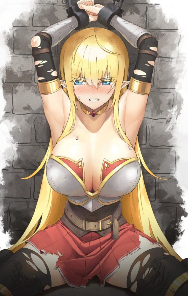 エルフの画像で一発ヌキたい
