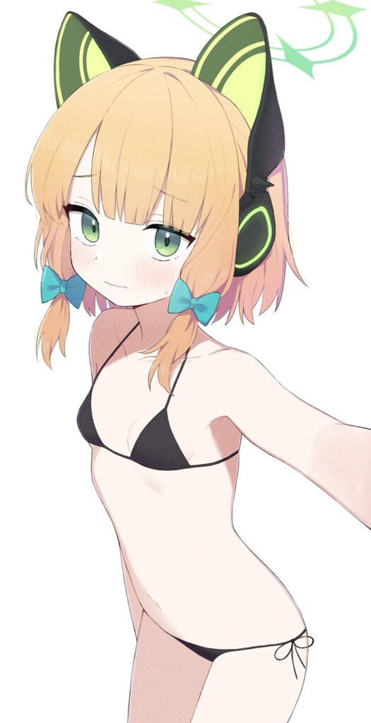 ビキニの二次エロ画像を愛でる。