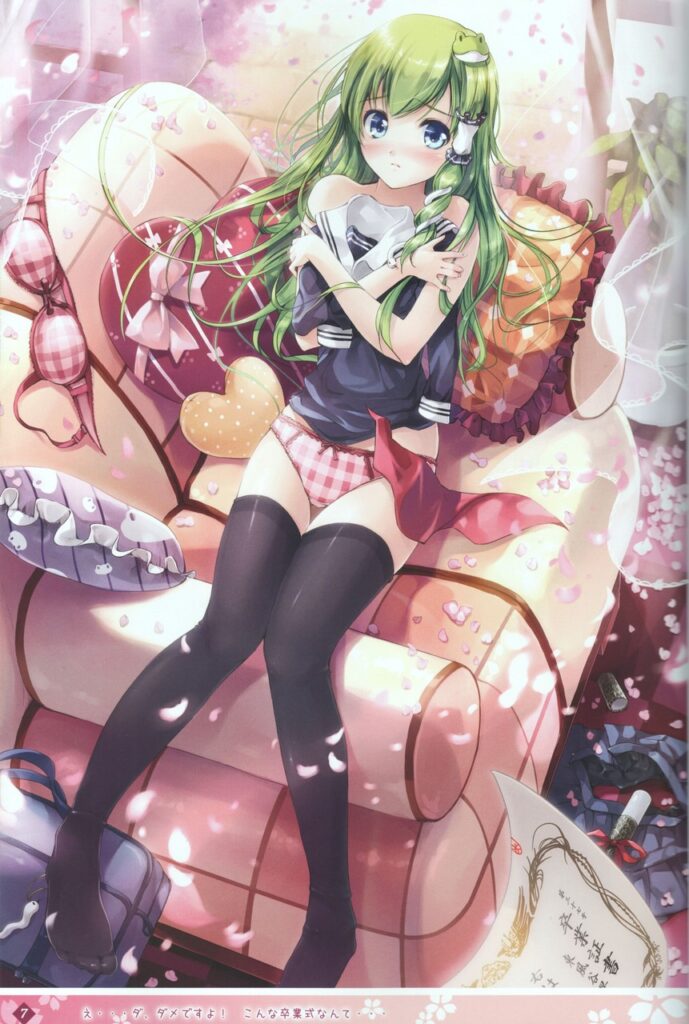 脱ぎかけの二次画像がヌけすぎてこまる件について