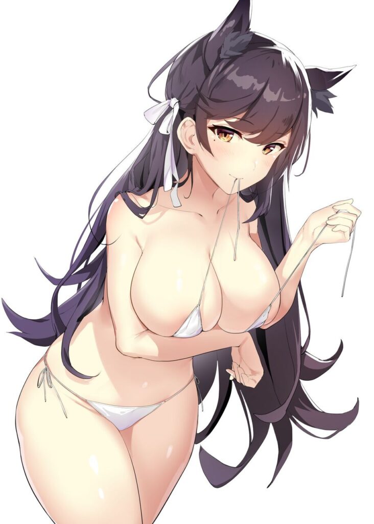 ビキニのエロ画像 16