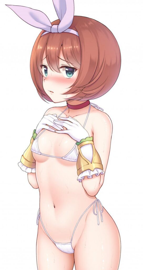 ビキニのエロ画像 17