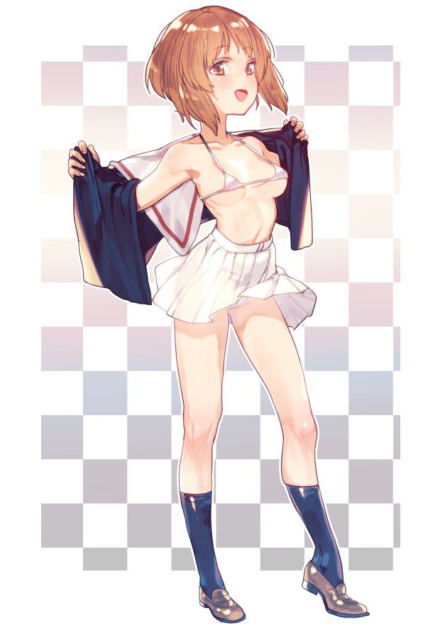 ビキニのエロ画像 5