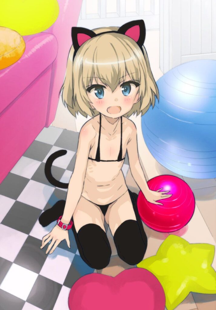 ビキニのエロ画像 17
