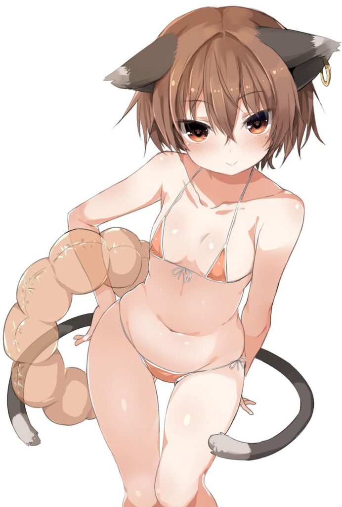 ビキニのエロ画像 18