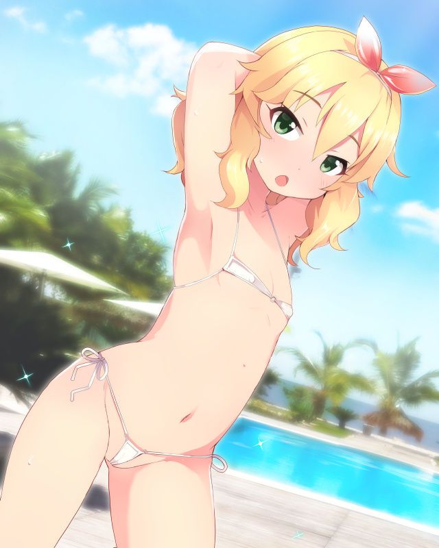ビキニのエロ画像 17