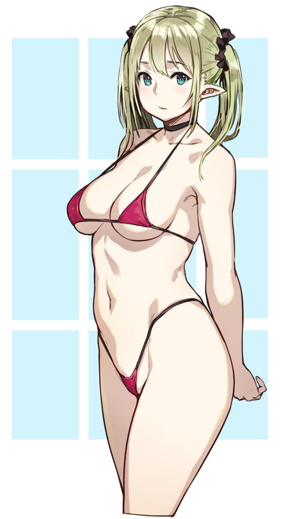エルフのエロ画像 11