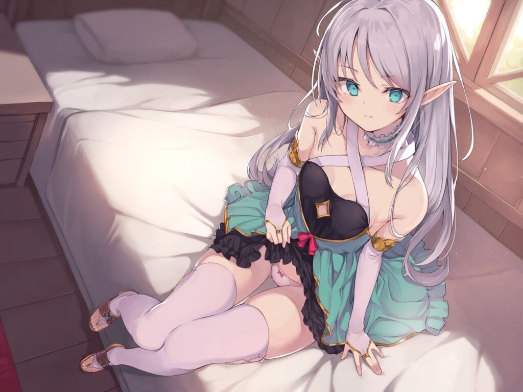 エルフのエロ画像 18