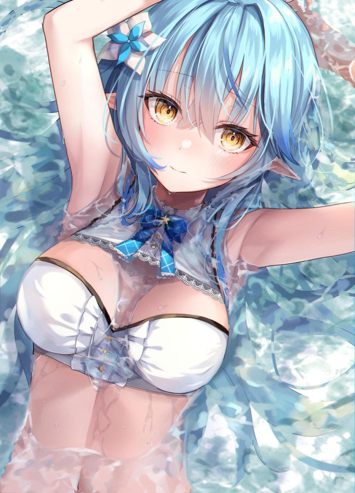 エルフのエロ画像 14