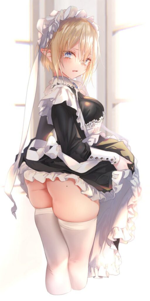 エルフのエロ画像 6