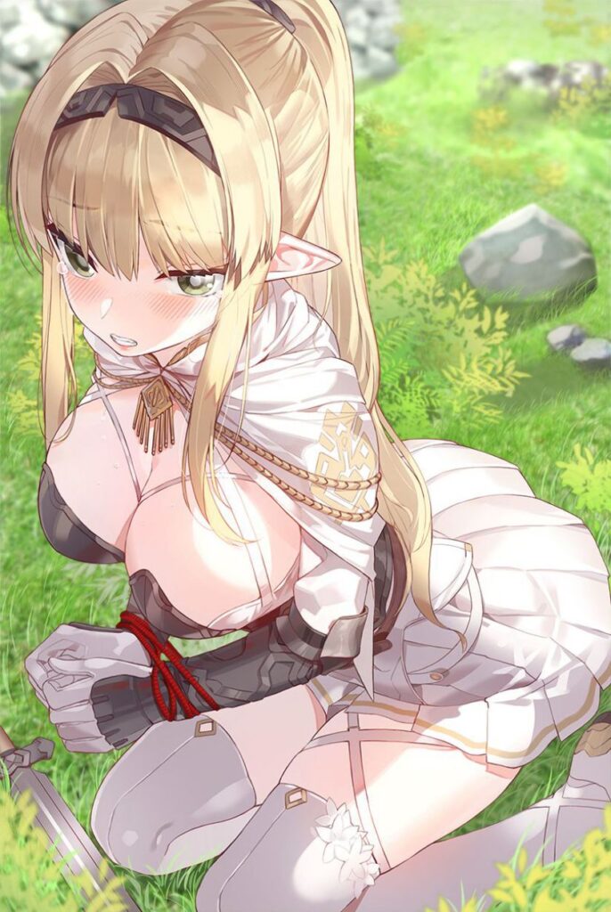エルフのエロ画像 19