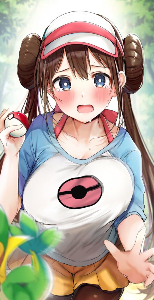 ポケットモンスターのエロ画像 18