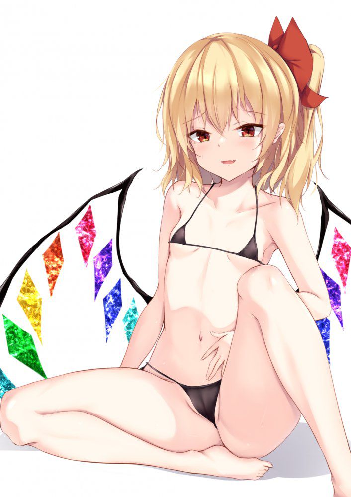 ビキニのエロ画像 4
