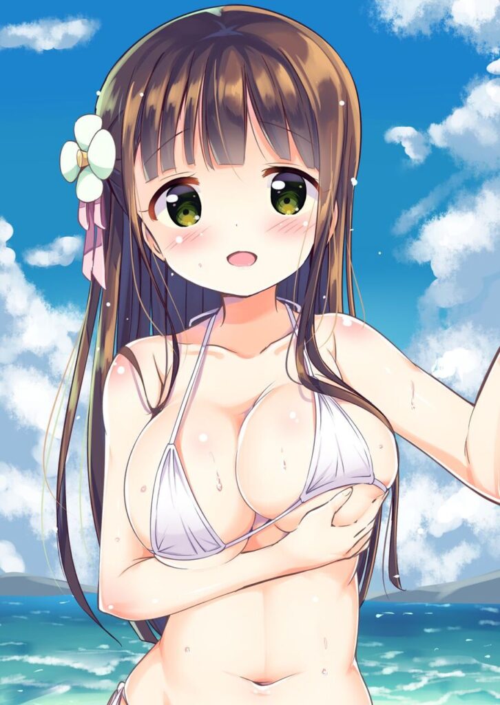 ビキニのエロ画像 12
