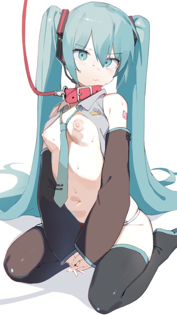 ボーカロイドのエロ画像 10
