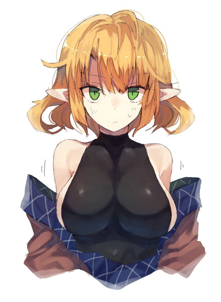 エルフのエロ画像 10