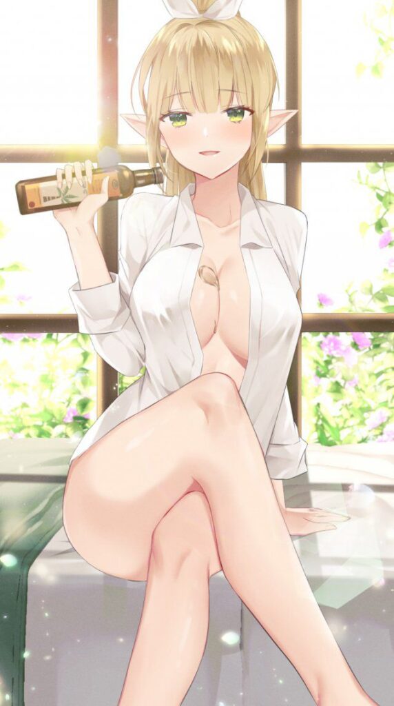エルフのエロ画像 20