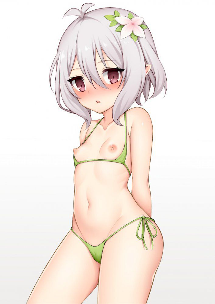 エルフのエロ画像 16