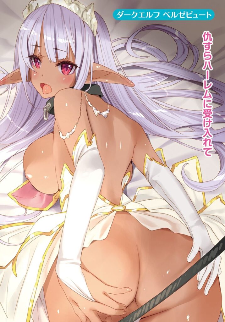 エルフのエロ画像 5
