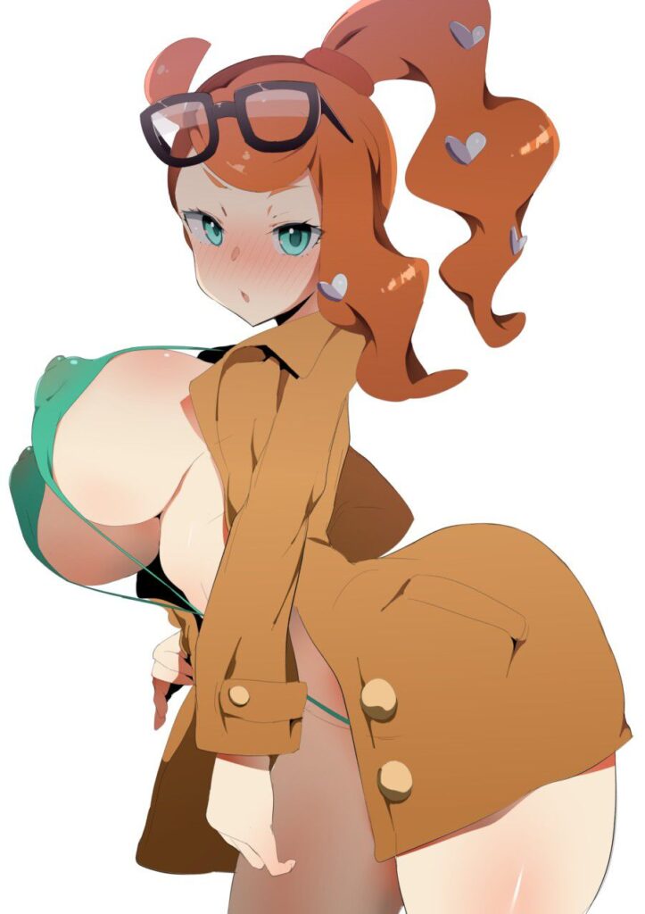 ポケットモンスターのエロ画像 17