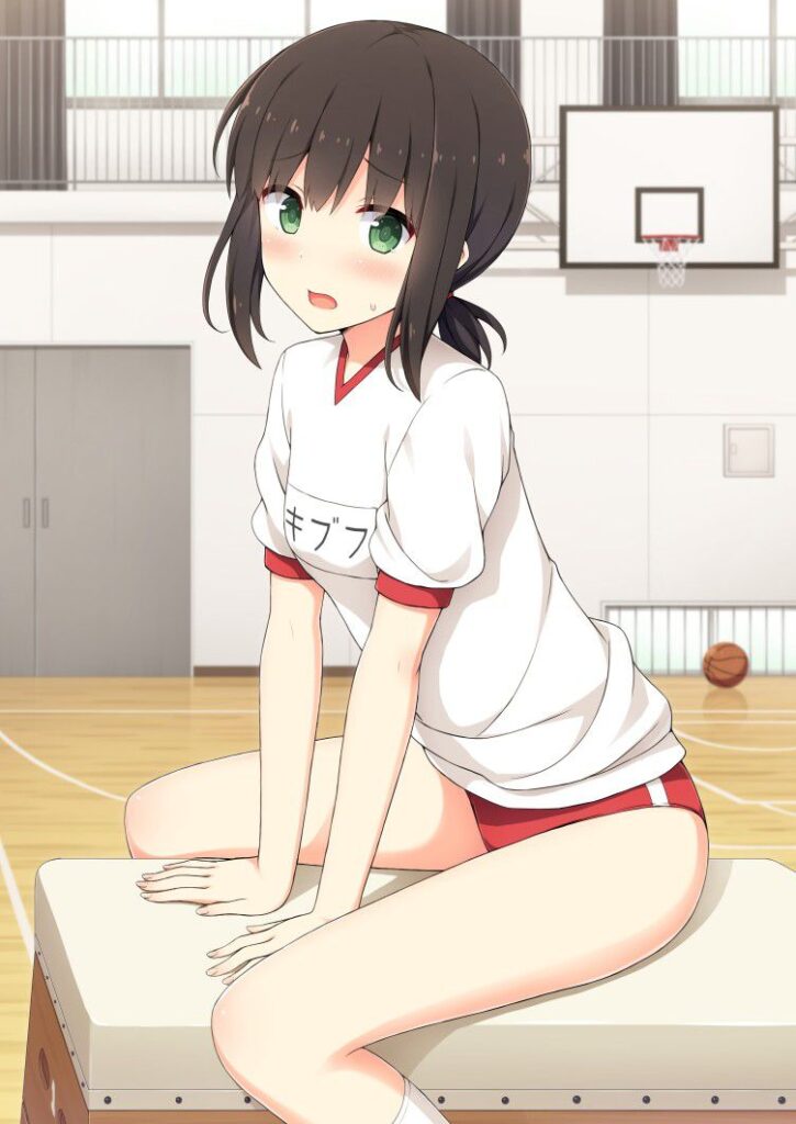 体操服・ブルマのエロ画像 16