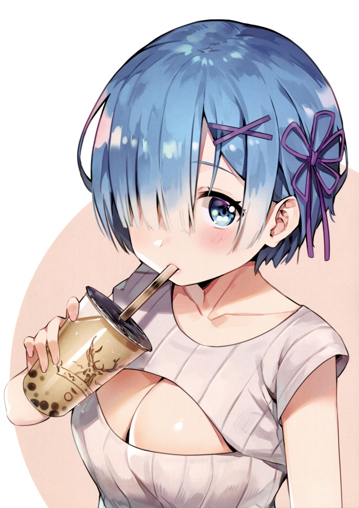 Re ゼロから始める異世界生活のエロ画像 12