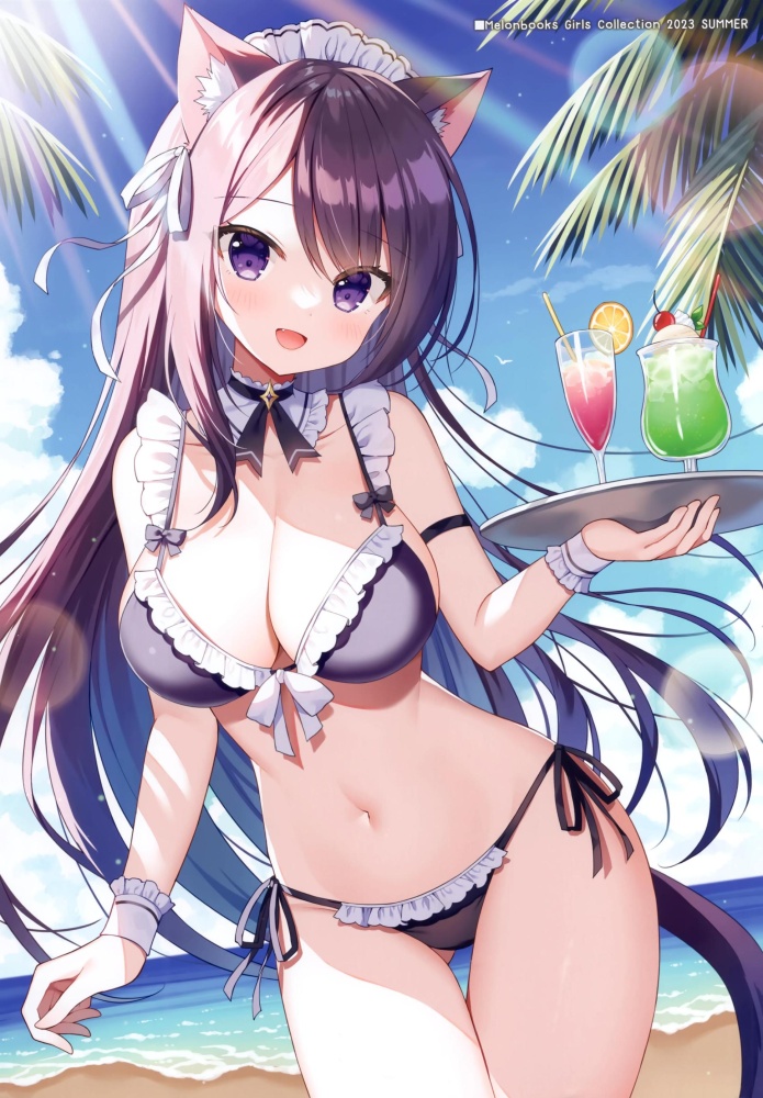 ビキニのエロ画像 1