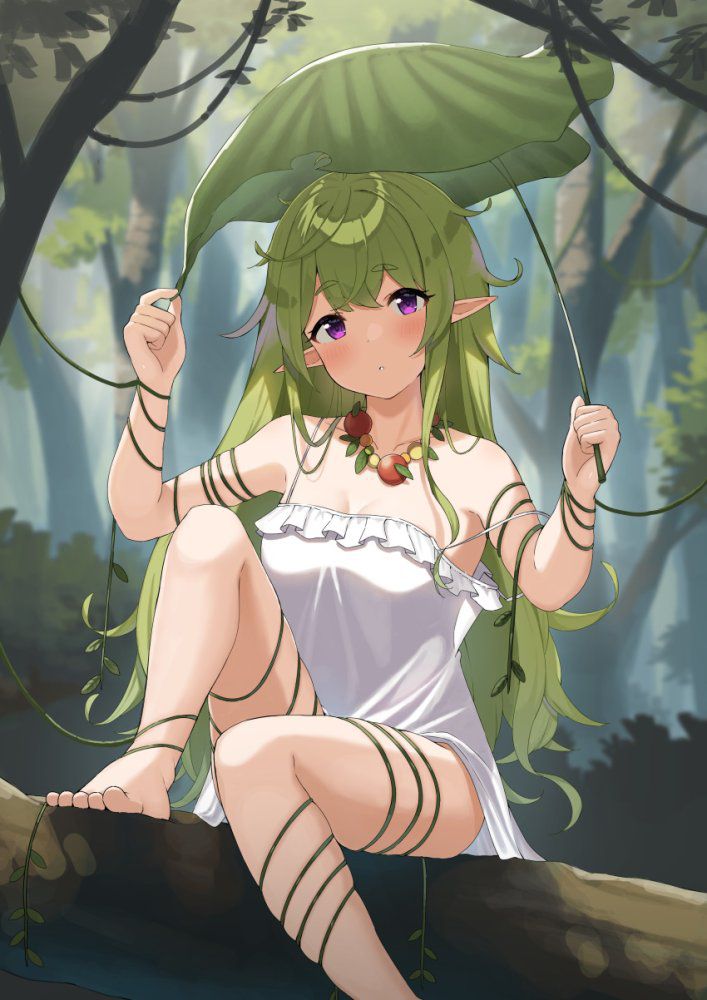 エルフのエロ画像 13