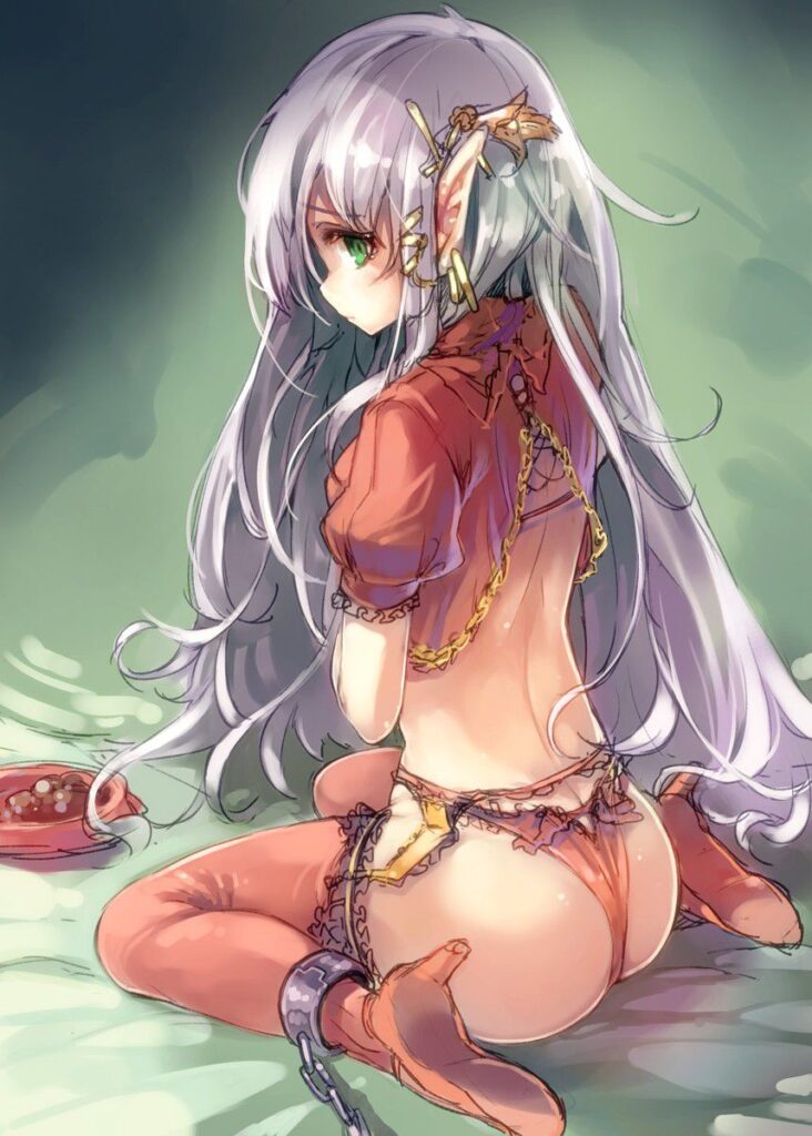 エルフのエロ画像 9