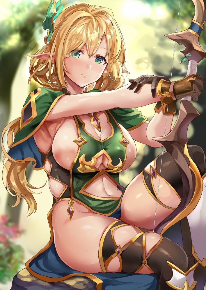 エルフのエロ画像 13