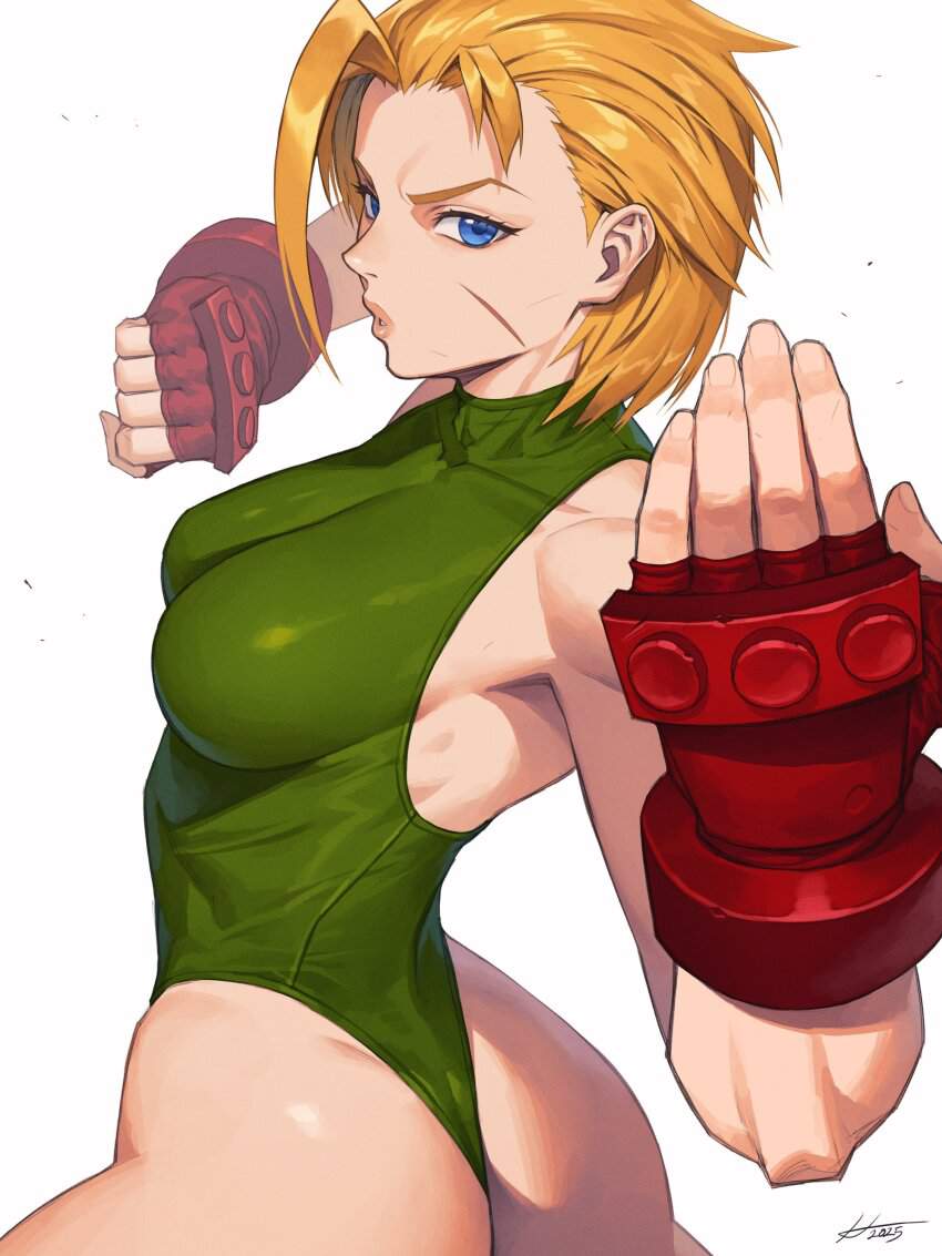 ストリートファイターのエロ画像 4