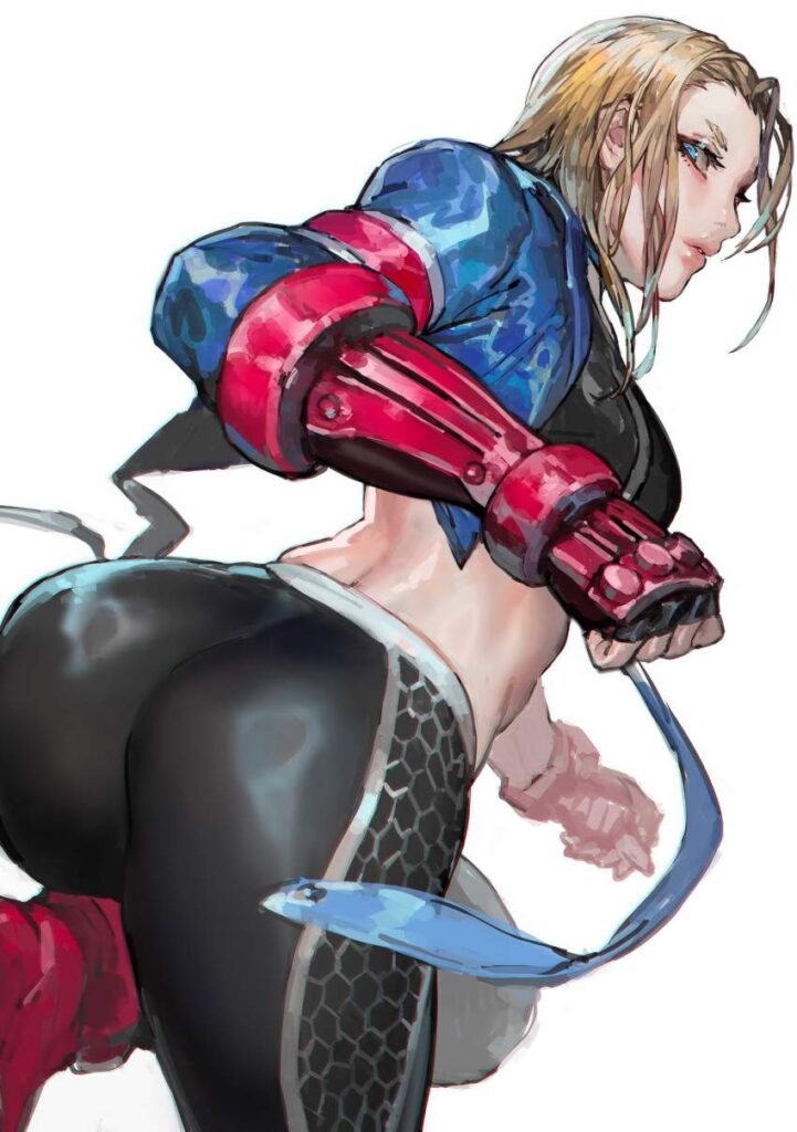 ストリートファイターのエロ画像 5