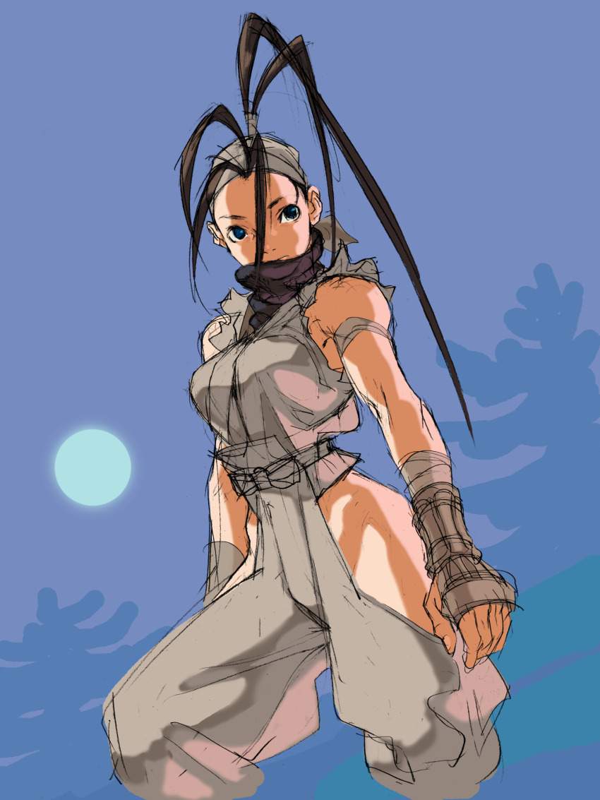 ストリートファイターのエロ画像 10
