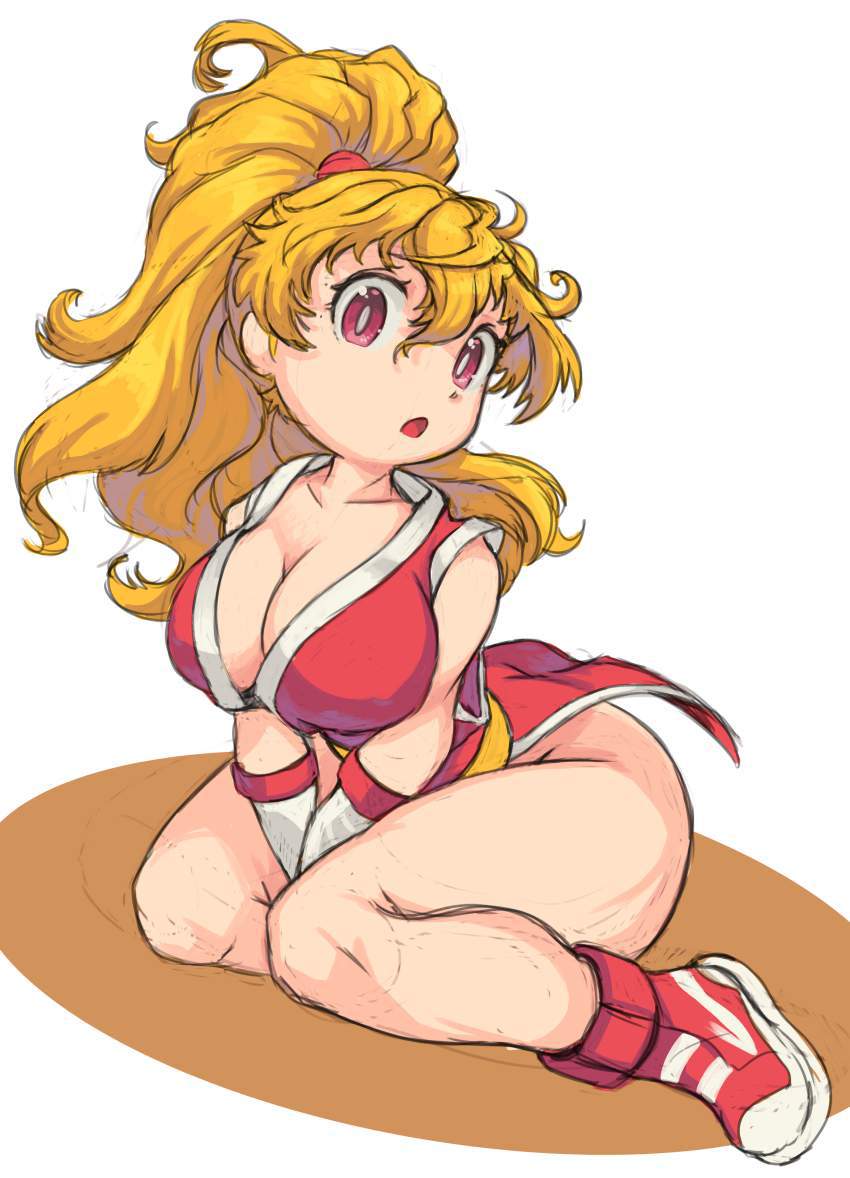 ストリートファイターのエロ画像 7